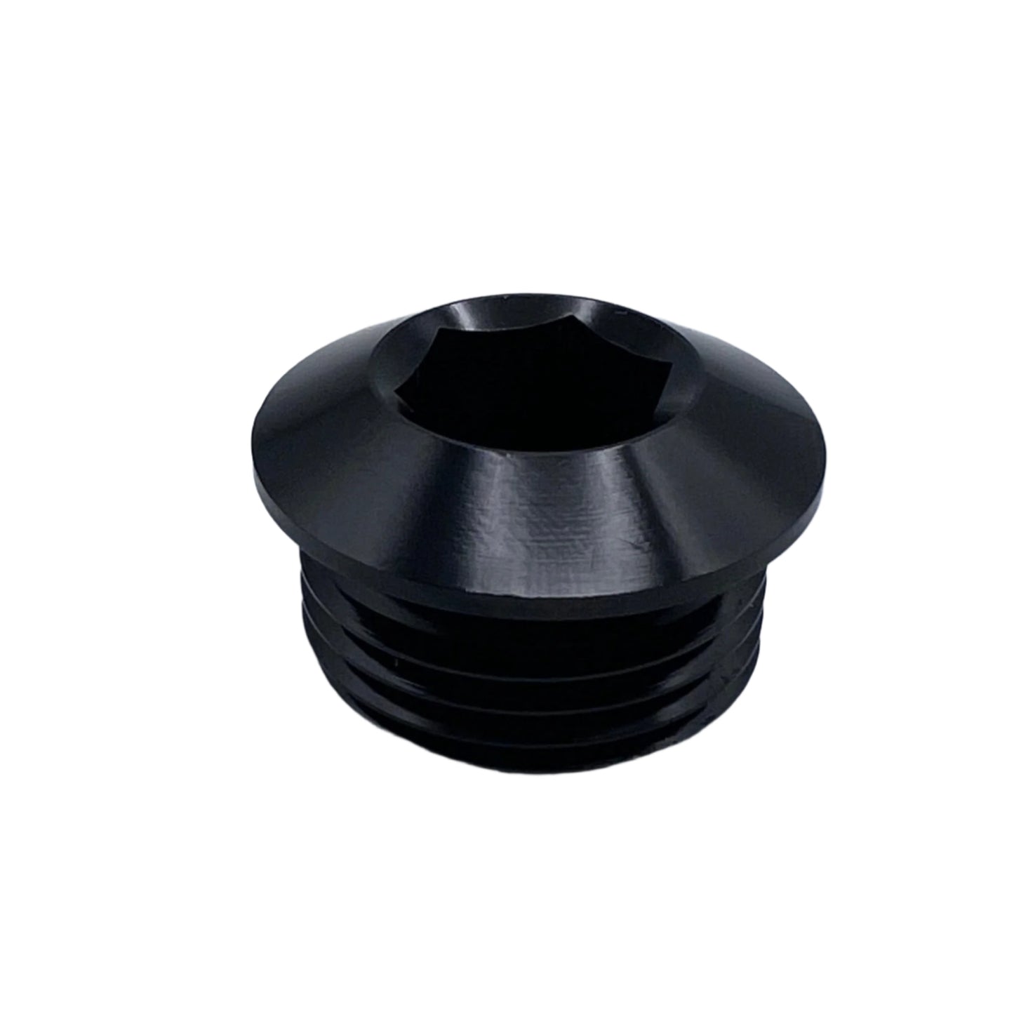 -10ORB PLUG