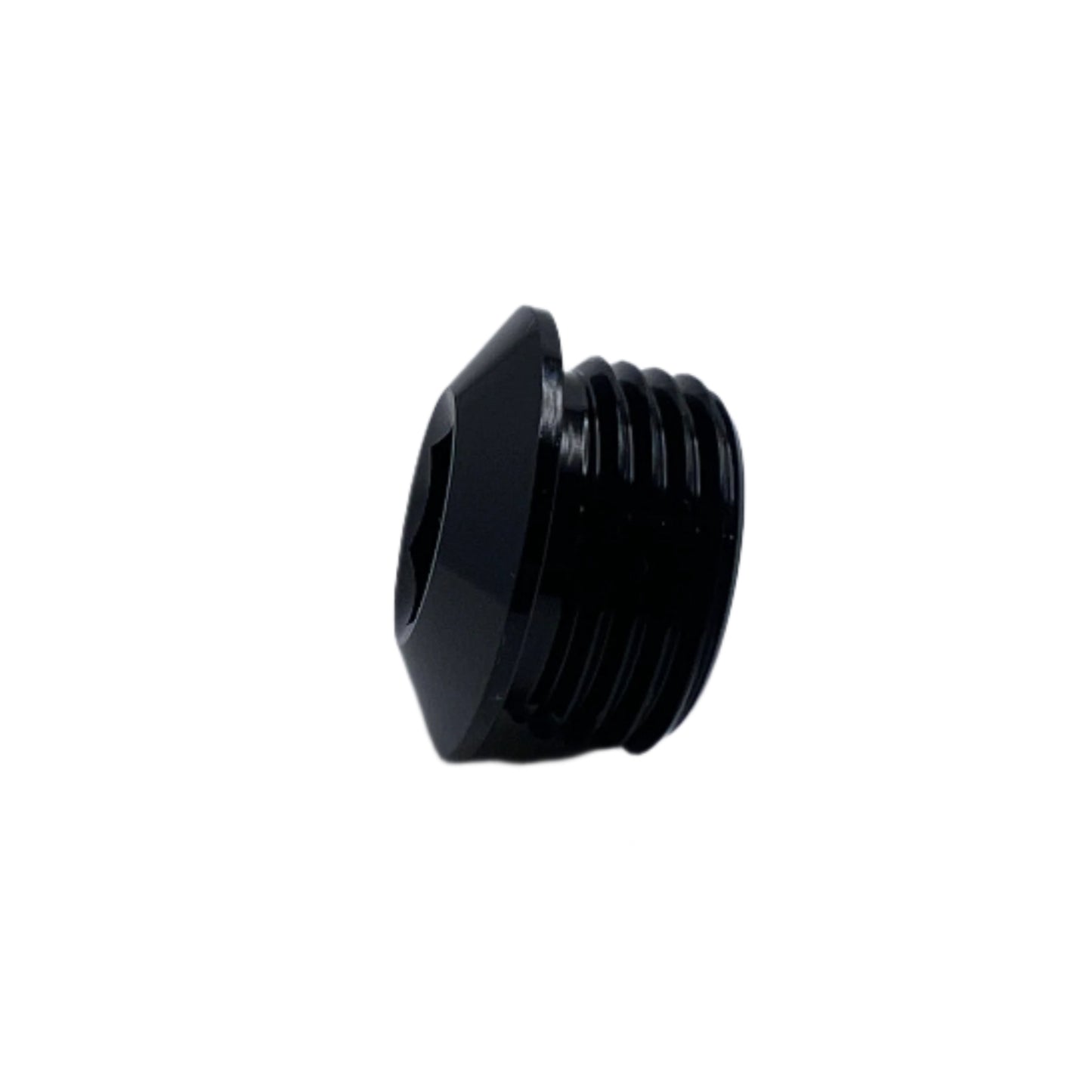 -10ORB PLUG