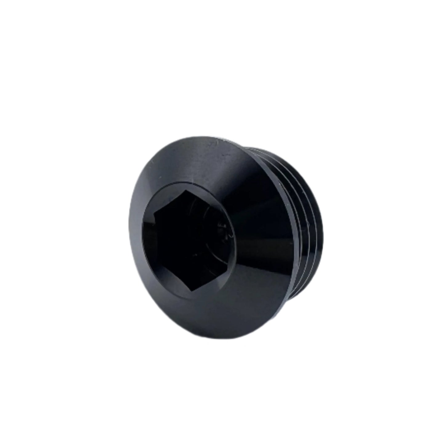-10ORB PLUG