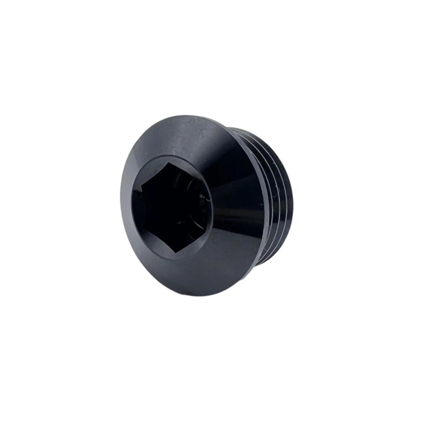 -10ORB PLUG